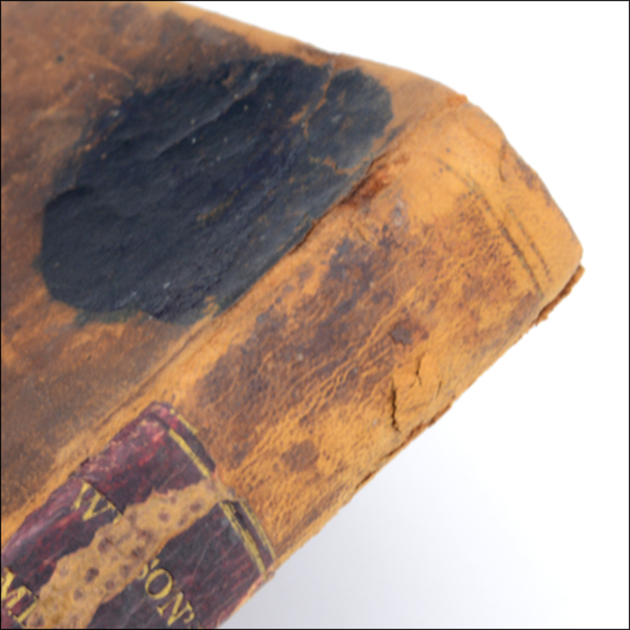 "Ugly dull brown books."
