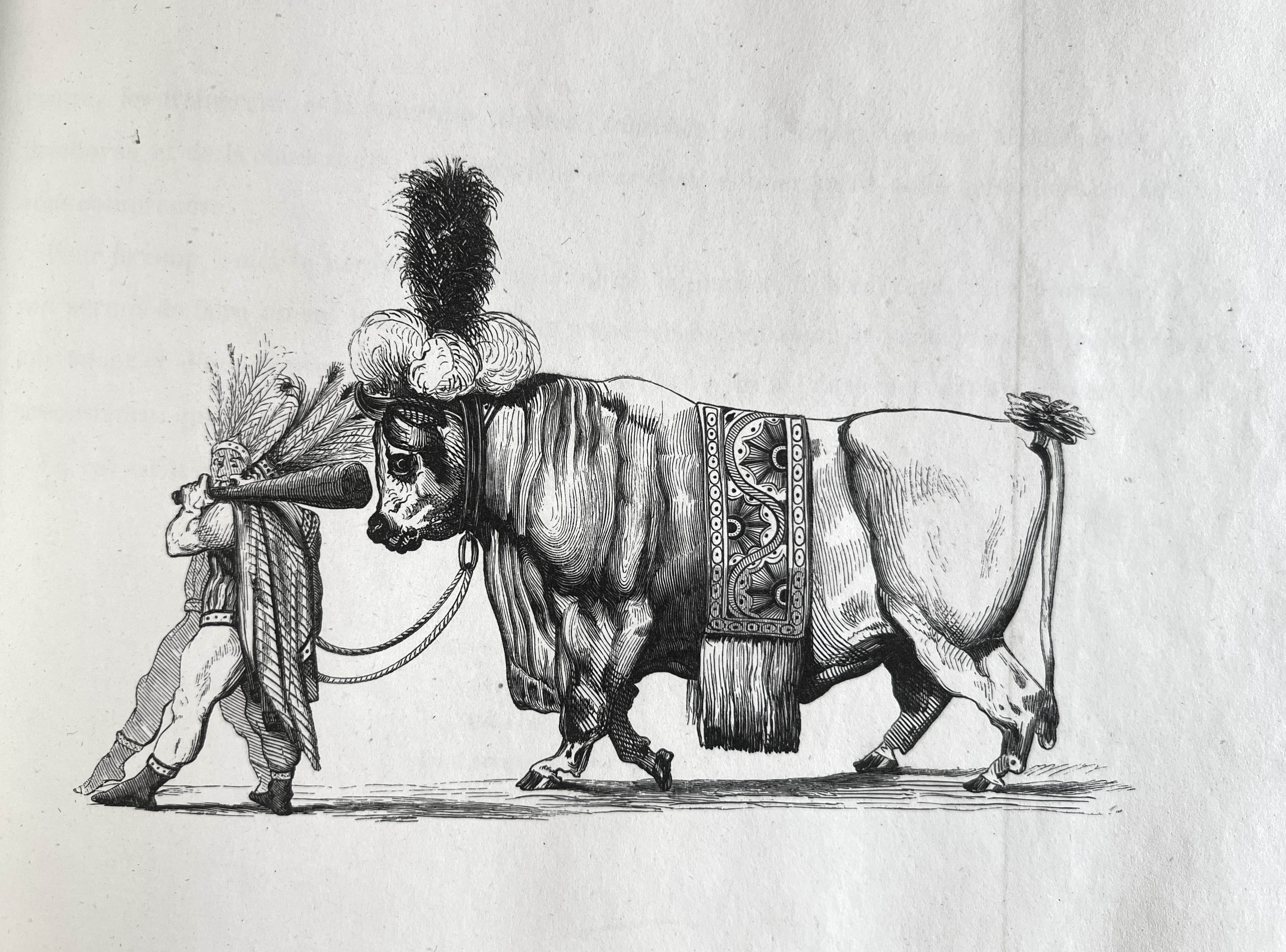 Novelties, 1554-1889