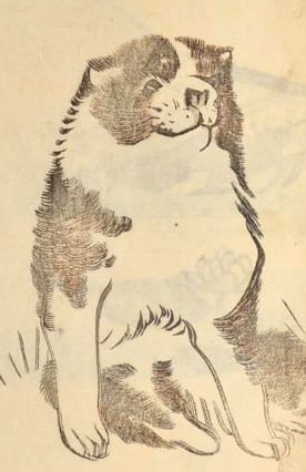 EHON- JAPANESE PICTURE BOOKS