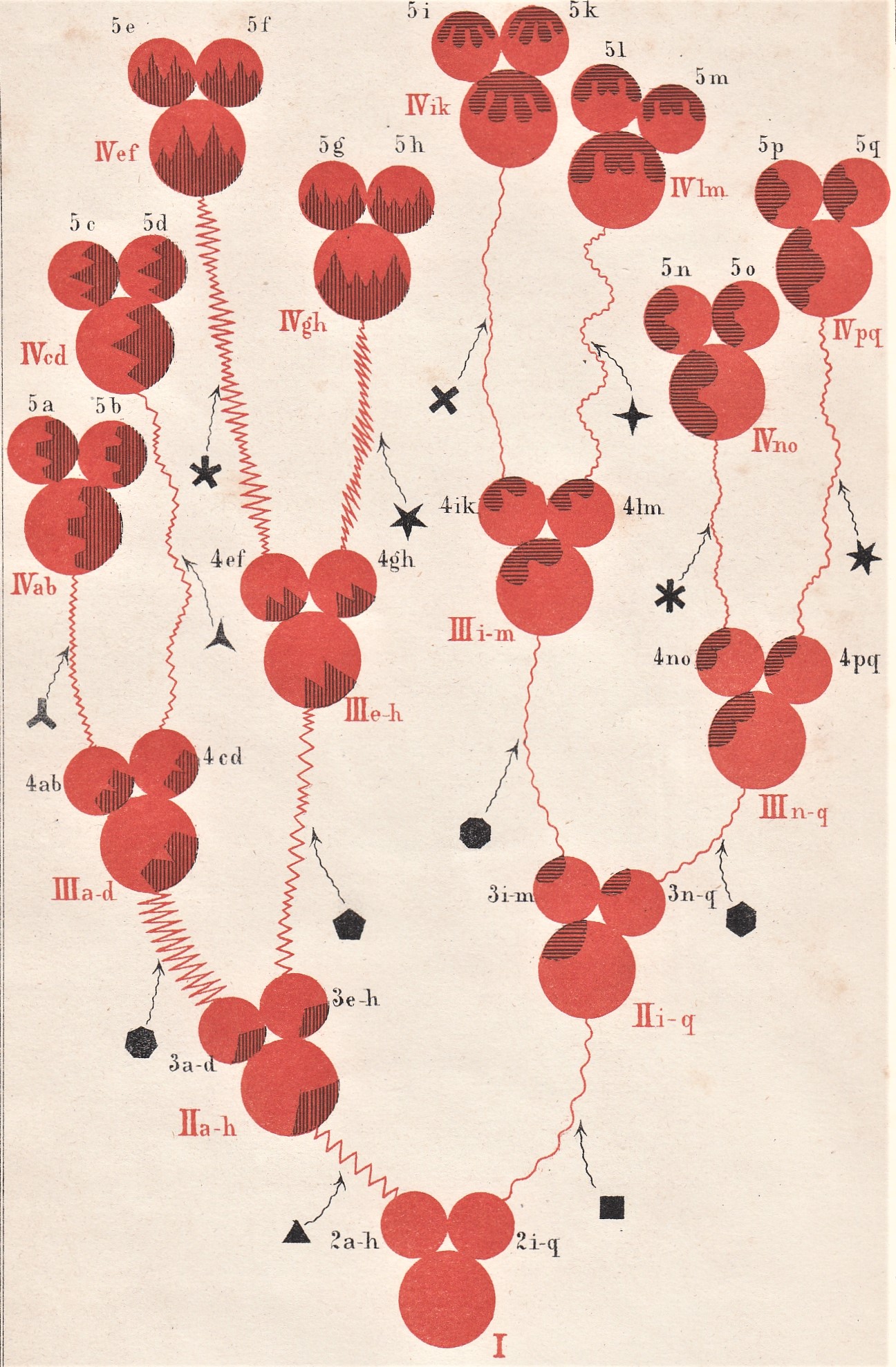 Biology & Cells