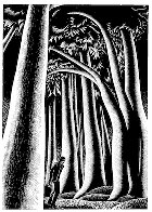 Lynd Ward, panel from Gods' Man