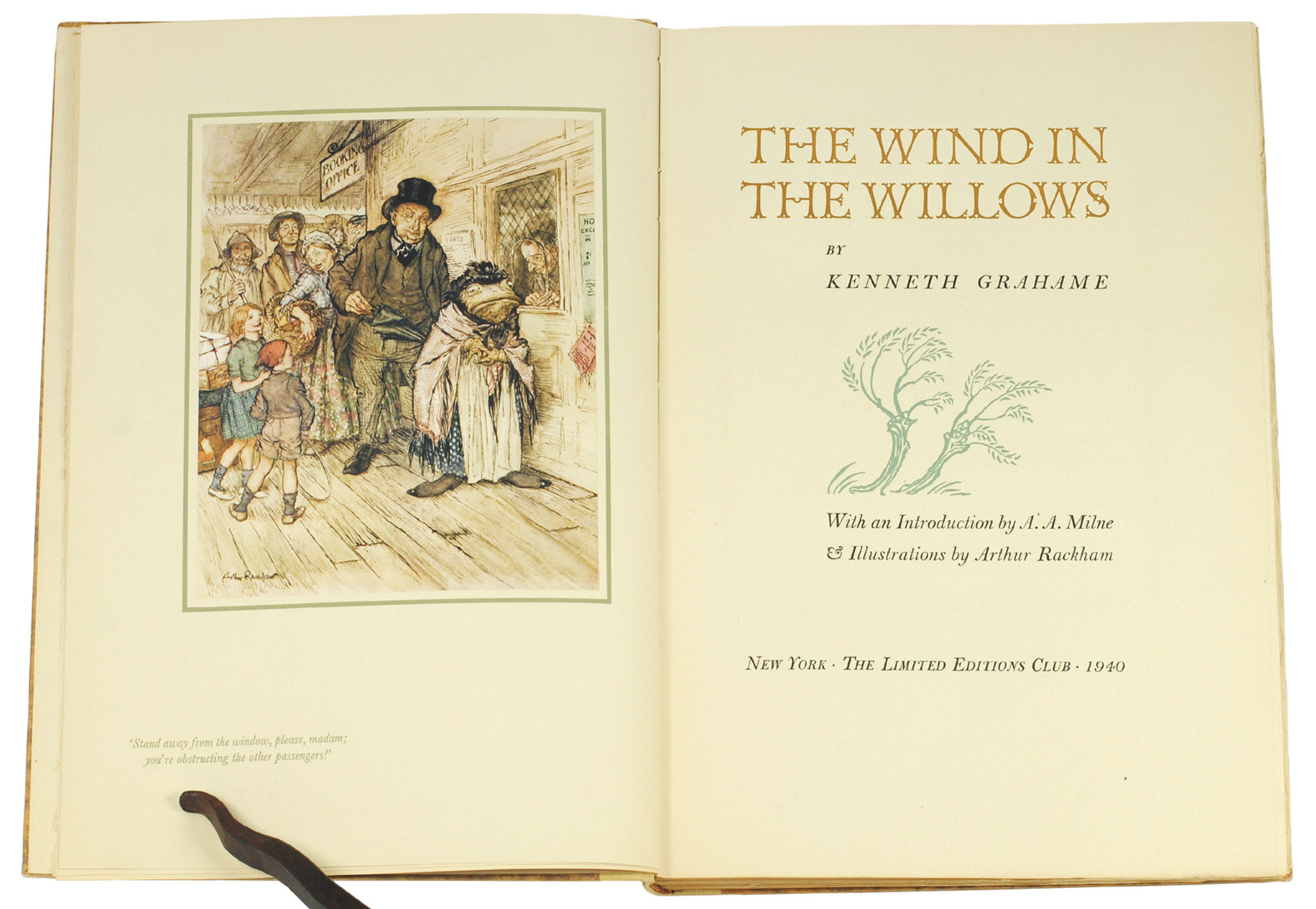 Wind in the Willows (Rackham)
