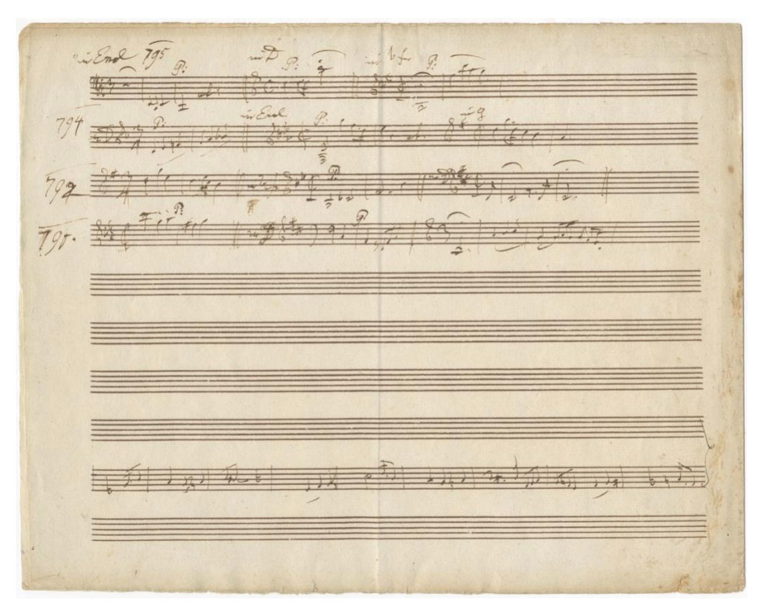 Haydn