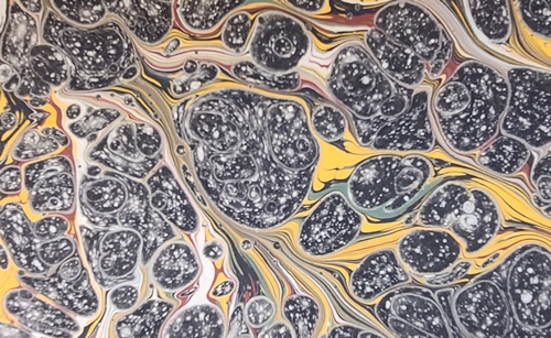 Marbled Paper